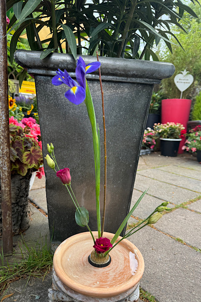 meine Ikebana-Kreation mit frischen Blüten